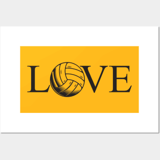 Volleyball Lover Posters and Art